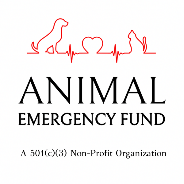 Animal Emergency Fund